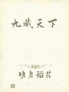 九藏天下