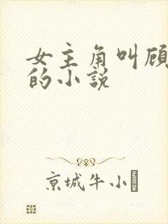 女主角叫顾一念的小说