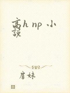 高h np 小说