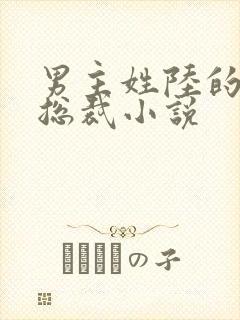 男主姓陆的所有总裁小说