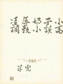 凌辱奶子小说上调教小说高h封面