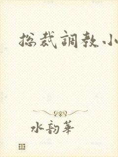 总裁调教小娇妻