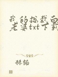 我的总裁白富美老婆txt下载