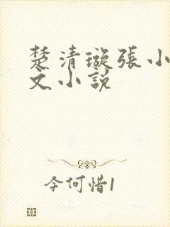 楚清璇张小凡全文小说