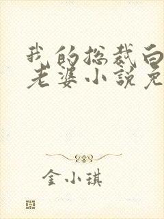 我的总裁白富美老婆小说免费讲述封面