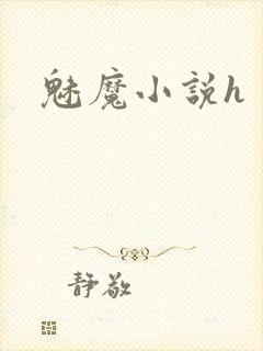 魅魔小说h封面