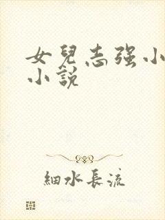 女儿志强小可 小说封面