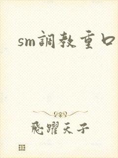 sm调教重口文封面