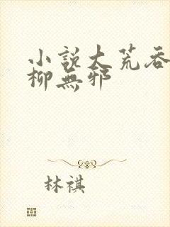 小说大荒吞天诀柳无邪
