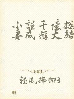 小说千亿总裁宠妻成瘾大结局