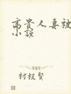 高贵人妻被调教小说