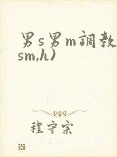 男s男m调教(sm,h)