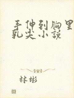 手伸到胸里揉她乳尖小说封面