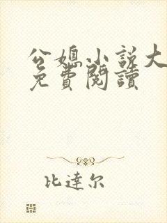 公媳小说大全套免费阅读封面