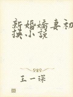 新婚娇妻初尝交换小说