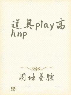 道具play高hnp封面