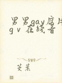 男男gay腐片gⅴ在线看