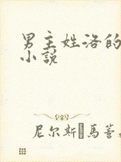 男主姓洛的总裁小说