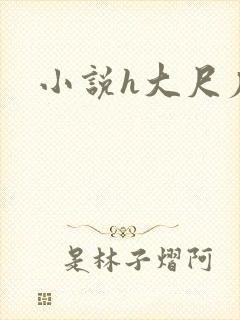 小说h大尺度