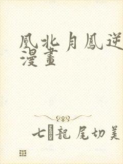 凰北月凤逆天下漫画封面