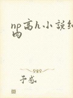 np高h小说纯肉