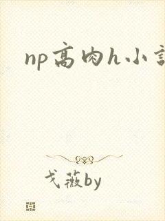 np高肉h小说