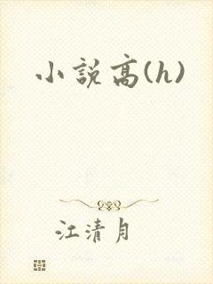 小说高(h)