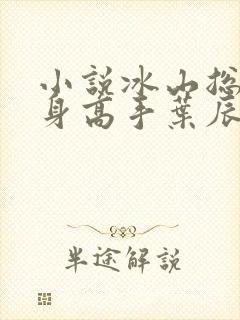 小说冰山总裁贴身高手叶辰