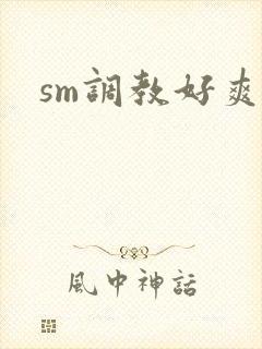 sm调教好爽