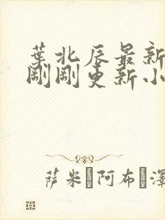 叶北辰最新章节刚刚更新小说全文阅读封面