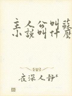 主人公叫苏泽的小说叫什么名字封面