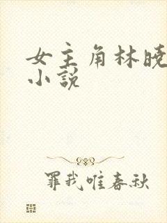 女主角林晓雨的小说