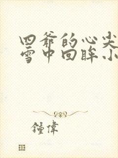 四爷的心尖宠妃雪中回眸小说精校版全集txt