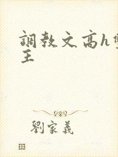 调教文高h双男主