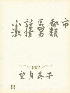 小说区都市校园激情另类