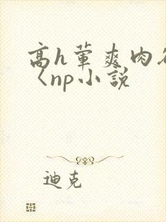 高h荤爽肉欲文〈np小说