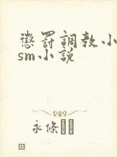 惩罚调教小母狗sm小说