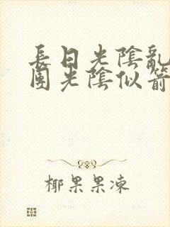 长日光阴乱作一团光阴似箭笔趣阁封面