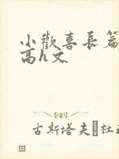 小欢喜长篇巨肉高h文