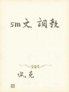 sm文 调教