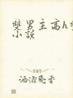 双男主高h双性小说