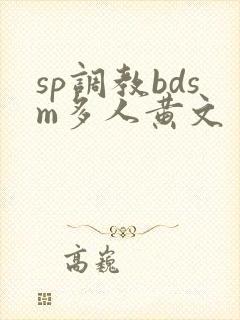 sp调教bdsm多人黄文