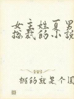 女主姓夏男主是总裁的小说