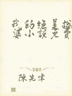 我的绝美总裁老婆小说免费阅读全文