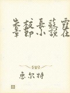 朱校长苏霞全部章节小说在线阅读