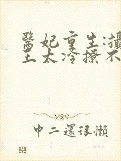 医妃重生:摄政王太冷撩不得