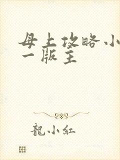 母上攻略小说第一版主