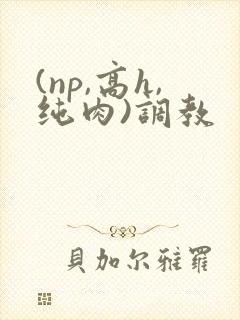 (np,高h,纯肉)调教
