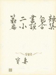 第二书包辣网短篇小说合集