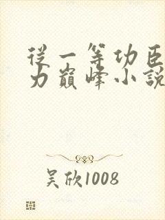 从一等功臣到权力巅峰小说